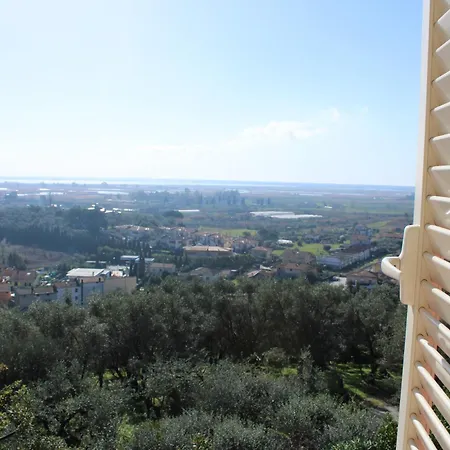 Oliveta